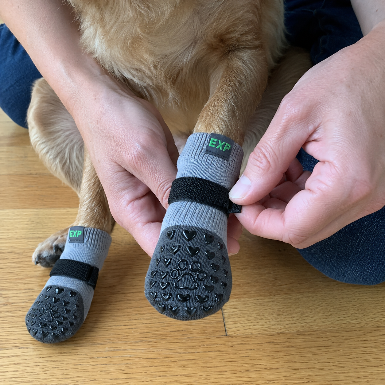 Hands gently adjusting the fastening band of a grey dog grip sock.