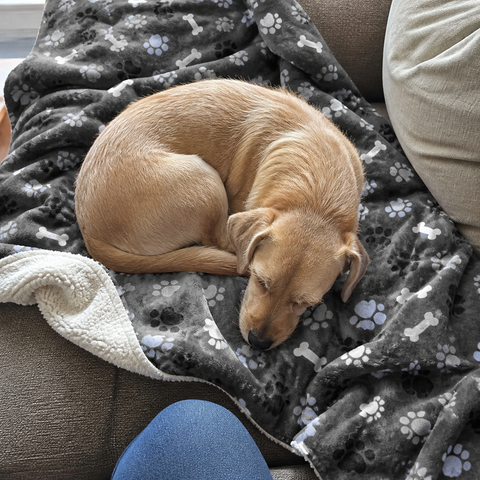 Photo accompanying: Their favorite corner, covered.