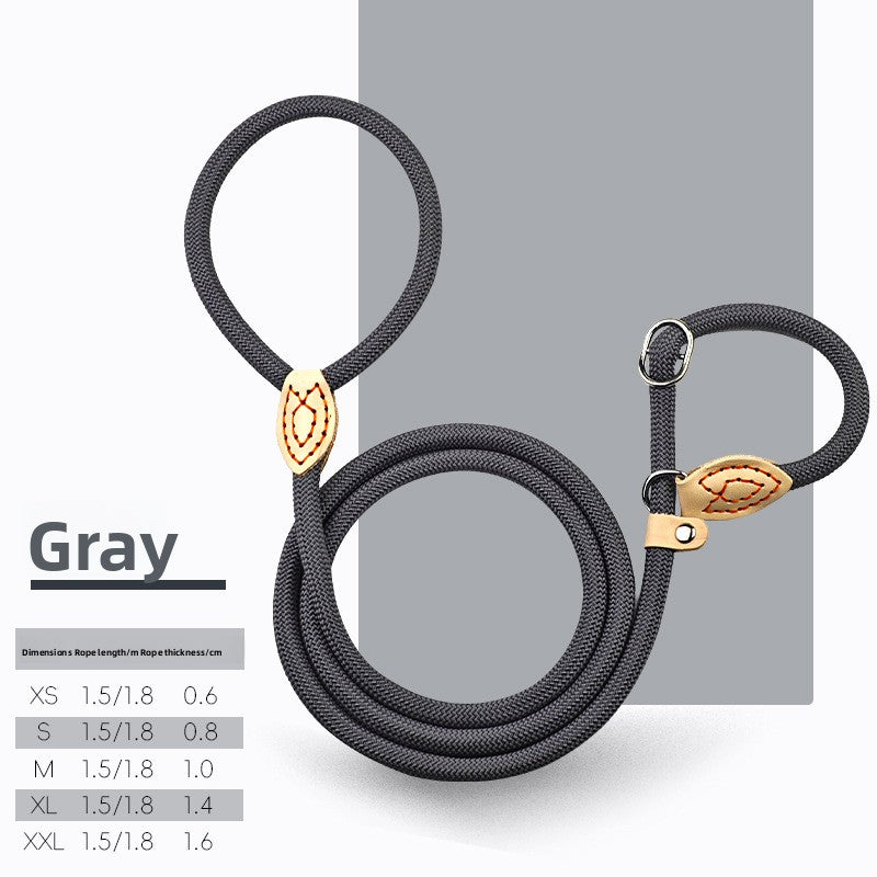 Everyday Rope Slip Lead