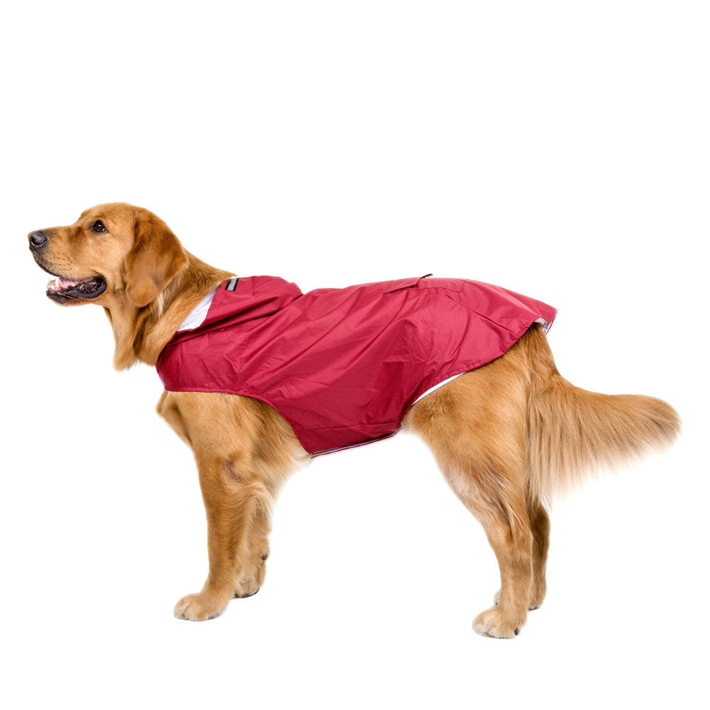 Rain Ready Dog Poncho