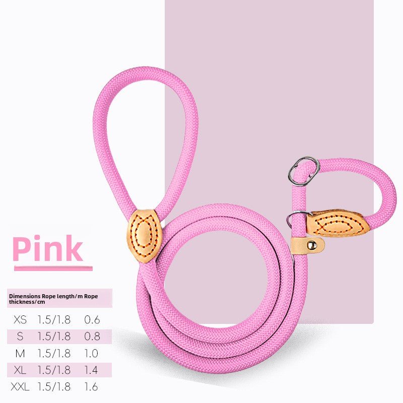 Everyday Rope Slip Lead