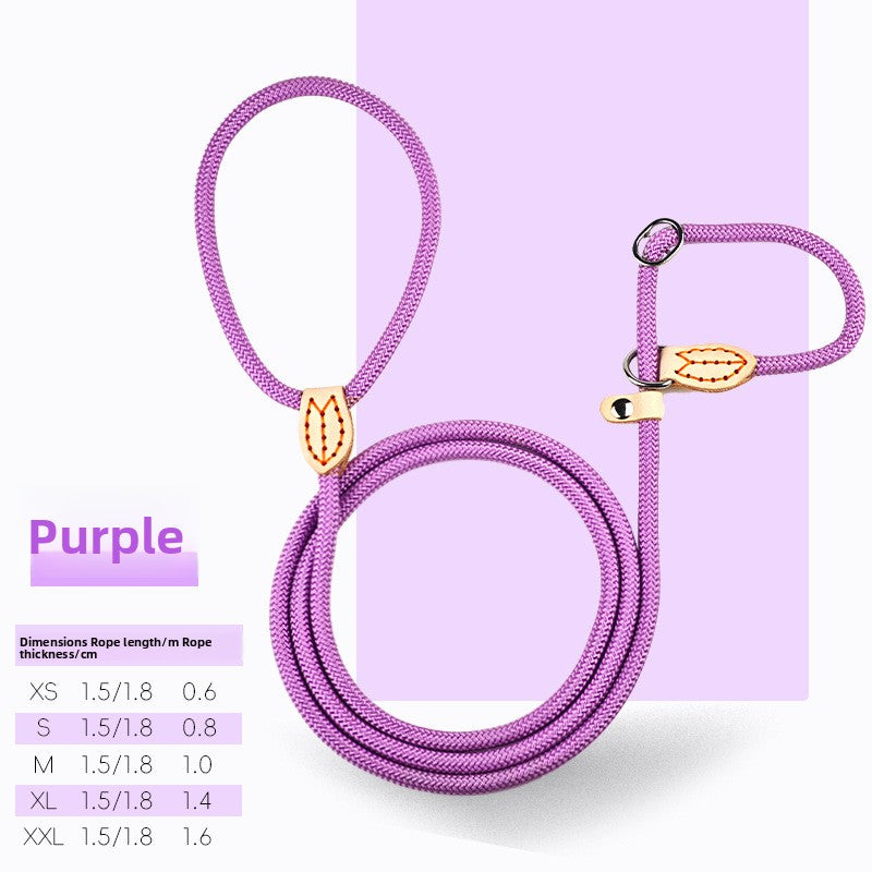 Everyday Rope Slip Lead