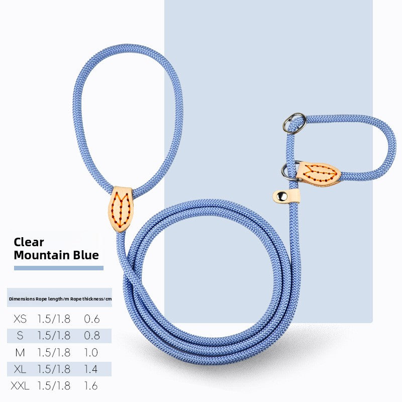 Everyday Rope Slip Lead