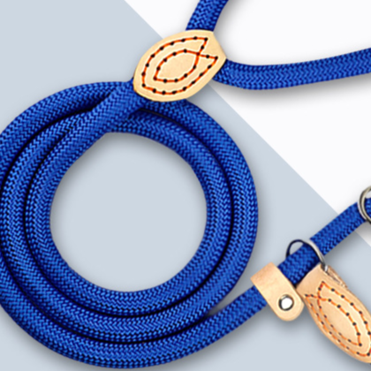 Everyday Rope Slip Lead