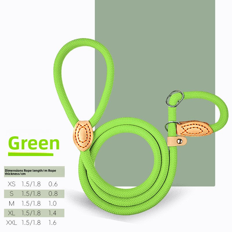 Everyday Rope Slip Lead