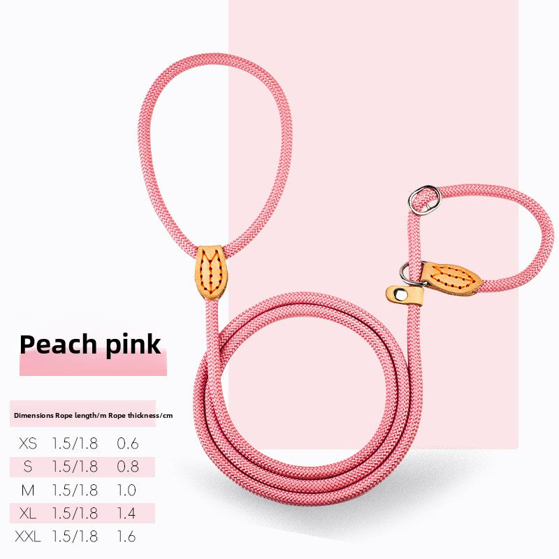 Everyday Rope Slip Lead