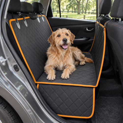 Backseat Buddy black quilted car cover with orange trim in an everyday setting
