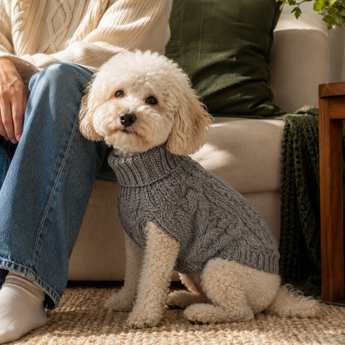 Cozy Cable Knit Dog Sweater in grey in an everyday setting